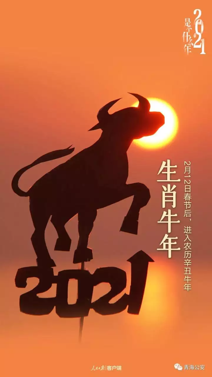 1、今年是什么属相:今年是什么年生肖是什么呀