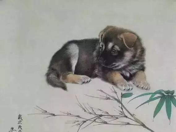 农历九月属狗的人命运如何，冬至出生的人命运如何