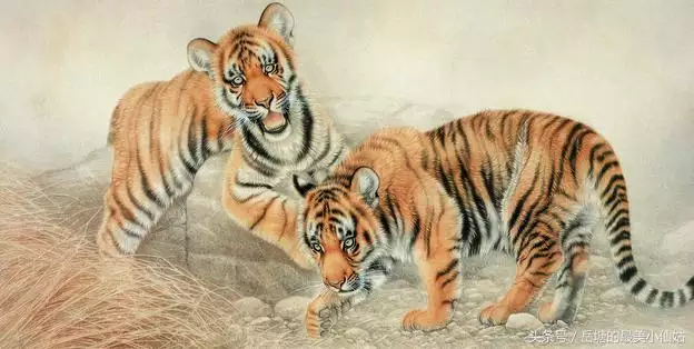 男虎與什麼屬相最配,男虎和什麼屬相最配對