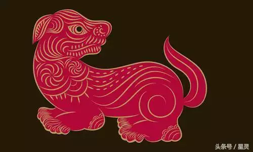 生肖雞和什麼生肖配最旺財，生肖兔和什麼生肖最配