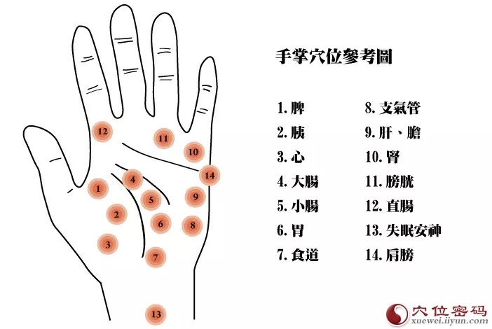 4、手上三個穴位一分鐘治頭疼:按哪個什麼穴位么可以去緩解偏頭痛？