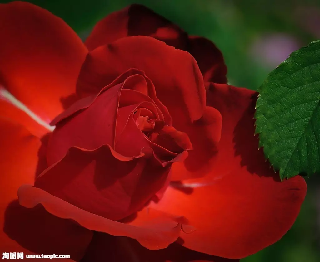 1、87属兔二次婚姻在几岁:87属兔二次婚姻在几岁