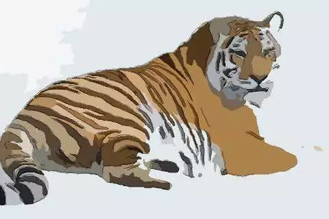 022年属虎月是什么时候，2022年的虎宝宝几月出生更好"