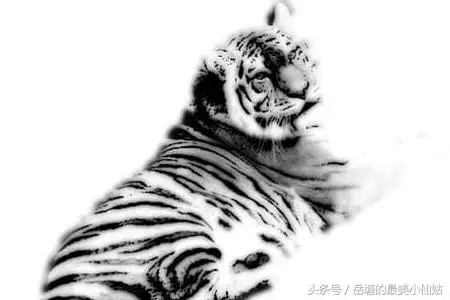 男虎與什麼屬相最配,男虎和什麼屬相最配對