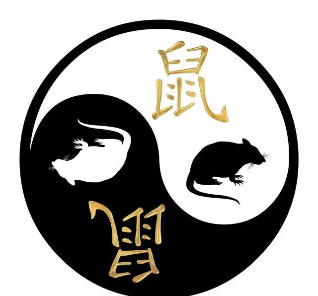 4、神機妙算打一生肖:神機妙算是什麼生肖？