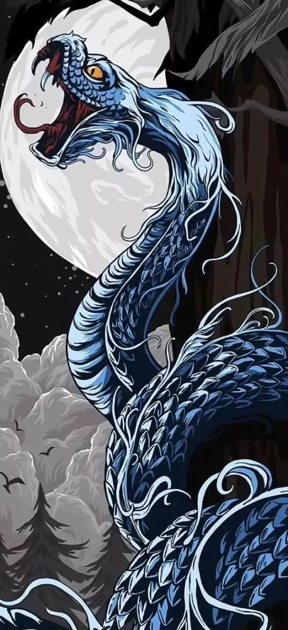 圖片十二生肖圖片高清，十二生肖簡筆畫12張