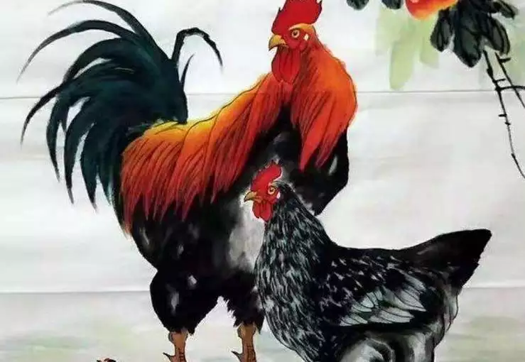 1、属鸡人年运势:属鸡人年运势运程