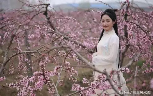 1、烂桃花会影响运势吗:有烂桃花如何避免