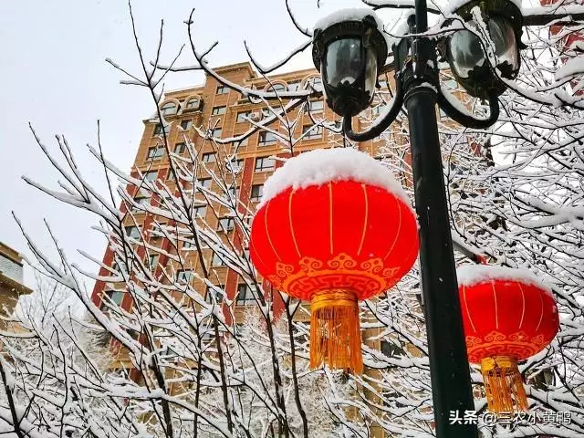 022牛年羊運好嗎，91屬羊人三大劫2022