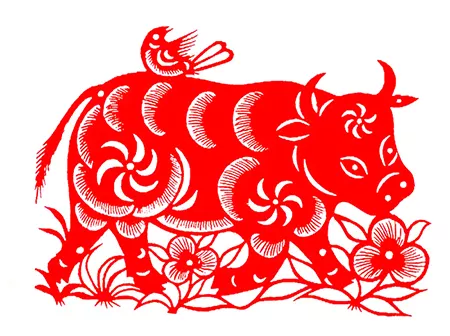 3、85年屬牛36歲有一災:年屬牛牢獄之災