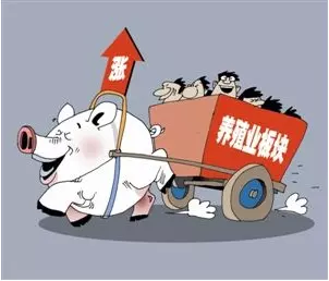 3、运势回落是什么意思:帮忙看看今年我的运势