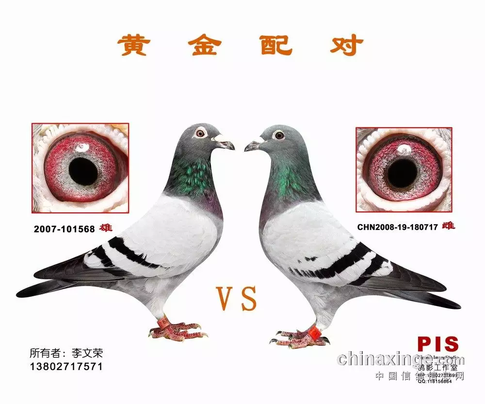 2、94年山头火命姻缘:94年女山头火命:95年男山头火命。这样在一起好吗!