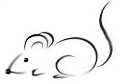 属虎本命年佩戴什么好，1998年属虎的本命年