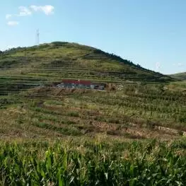 4、青島萊西為什麼那麼窮:山東青島萊西市好嗎？繁華嗎？