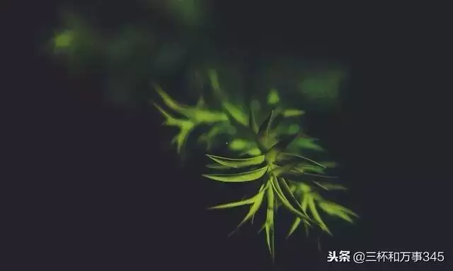 0年属猴42岁会有什么大劫，1980猴的大运之年"