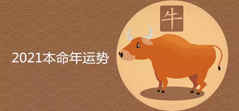 3、属牛人年爱情运势:年属牛人在年的运势