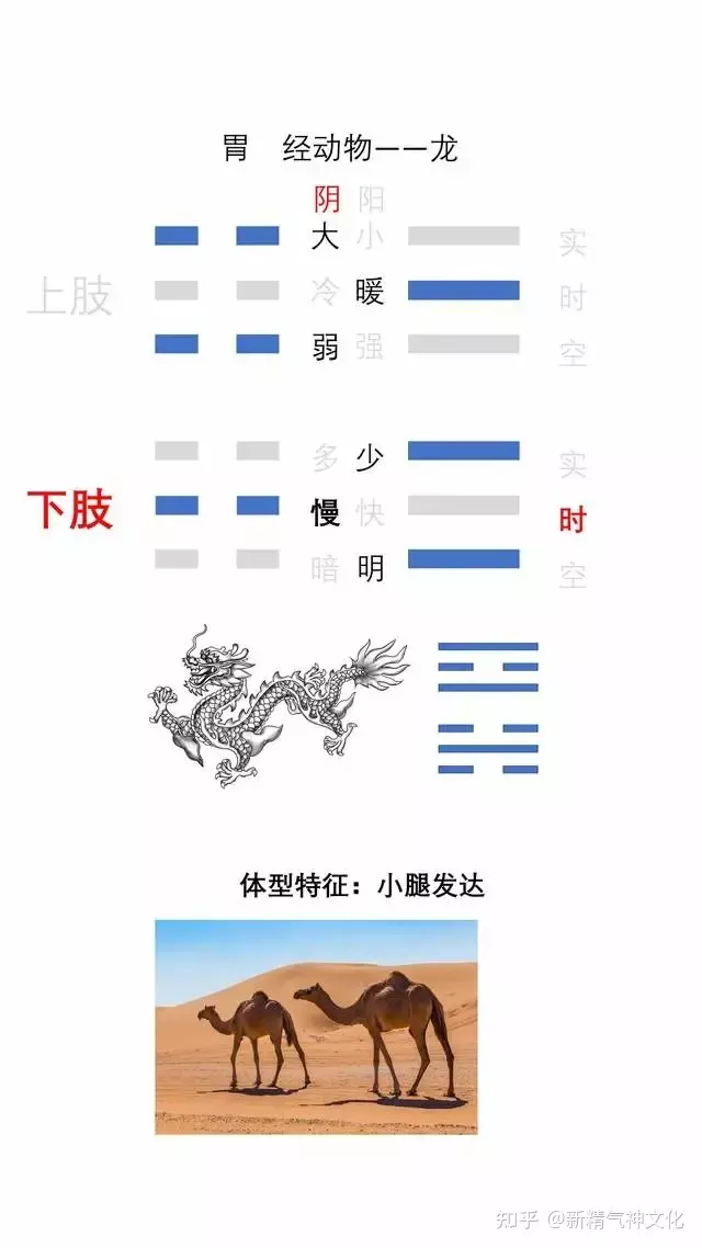 1、十二生肖命运大全:关于属兔的命运
