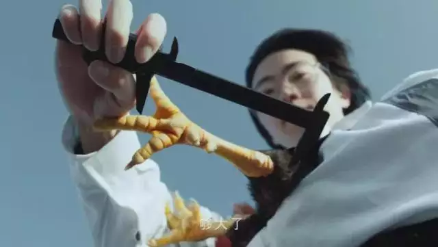 屬虎的方位在哪裡好，屬虎的人的吉利方位