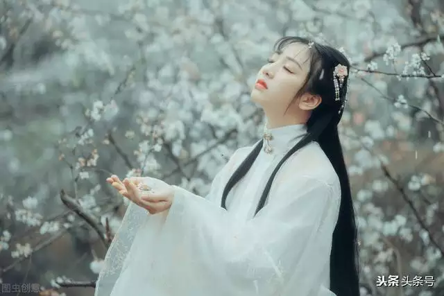 属狗农历九月出生是什么命，九月的狗的命运怎么样