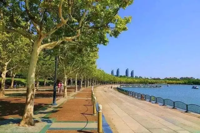 7歲屬雞是几几年，屬雞是9幾年出生的"