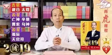 生肖運勢2022年運程豬，豬人遇虎年2022運勢如何