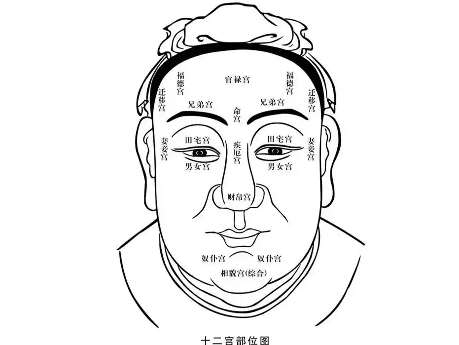 3、女生帶官相的臉:怎麼從臉上五官看福相