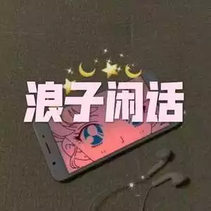 3、浪子閑話(DJ沈念版):dj沈念版是什麼意思？