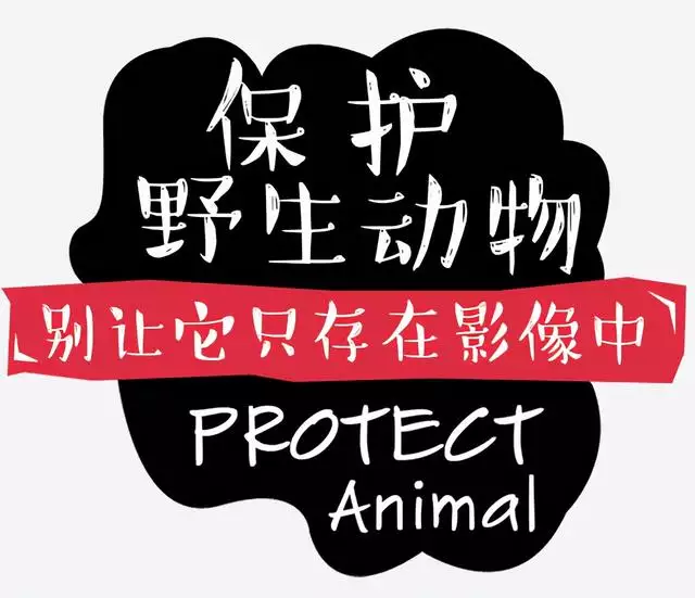 鼠和蛇父子好不好,蛇爸生鼠寶寶好不好