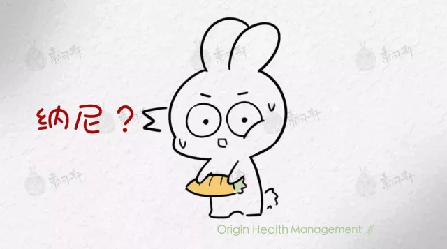 庚子年是什么意思