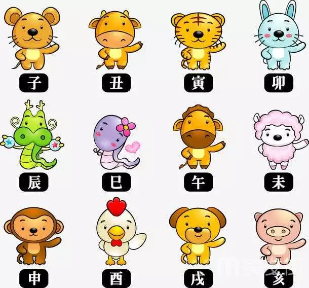 2、生肖十二属图片:过去的十二生肖表,每一个属相下面都有对应的年龄,我想要内张图。