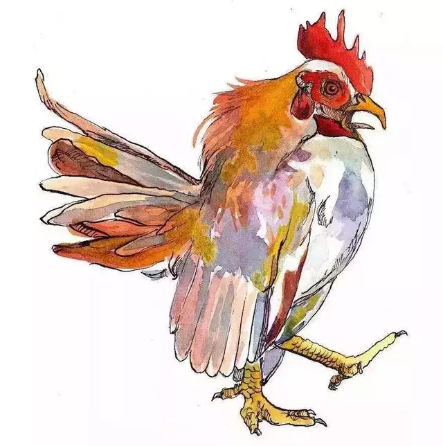 十二生肖的運勢和婚姻，十二生肖今年的婚姻如何