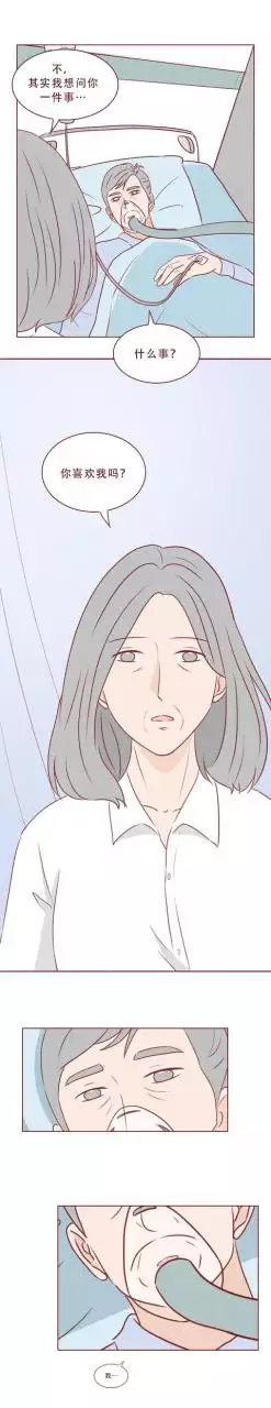 屬虎和屬猴的夫妻結局，幾月猴和屬虎的不相衝