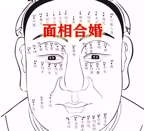 3、測姻緣:看看手相求測姻緣事業財運健康。感謝