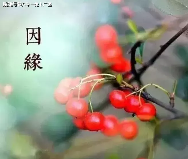 1、94年属狗的姻缘晚婚:94年属狗女姻缘