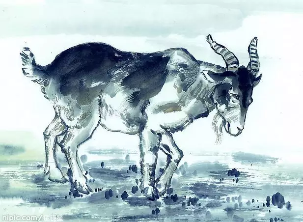 男屬羊的命不好是真的嗎,屬羊的命不好嗎屬羊的女性