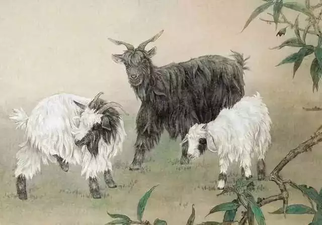 屬羊的人最怕的是什麼，91屬羊男的婚姻