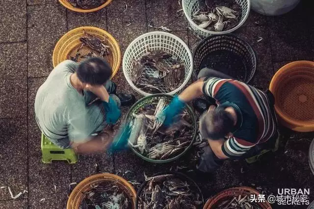 為什麼紹興人屬羊的不要，屬羊人2022 年每月運勢