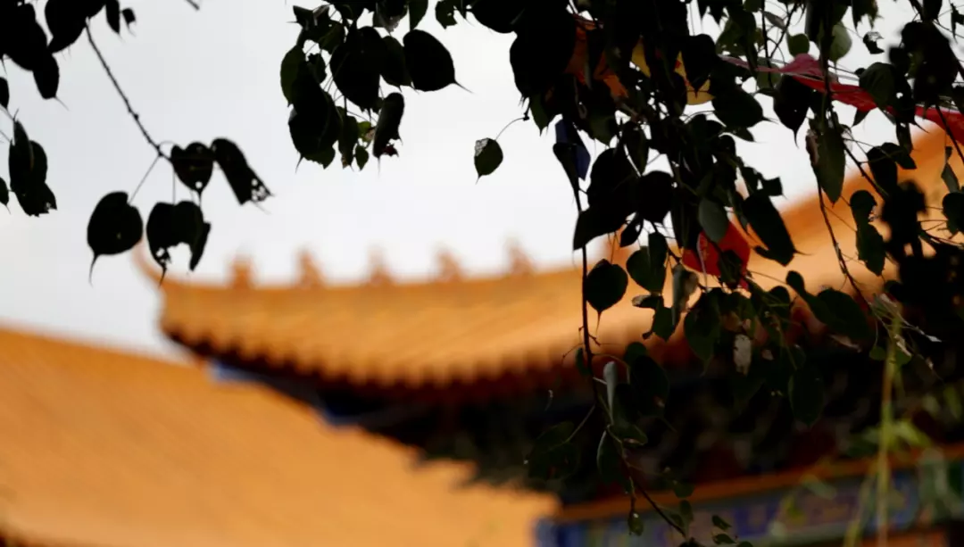 3、小天真香继续烧香吗:焚香中的“小天真”是何解