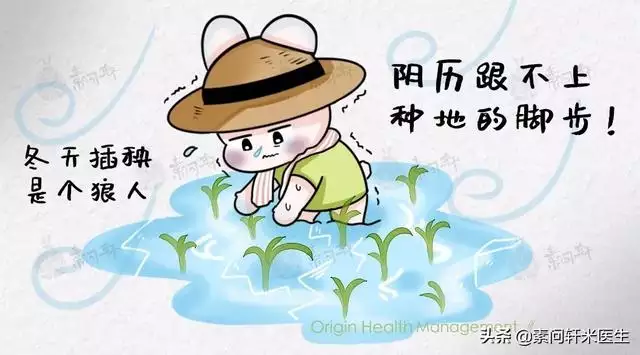 庚子年是什么意思