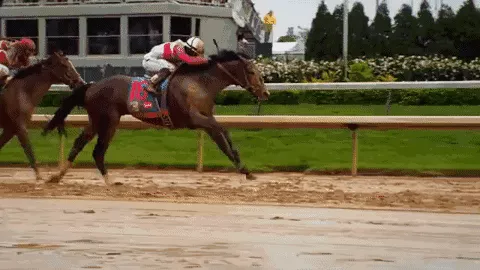 為什麼說馬遇狗更富有，78年馬和82年狗合財不