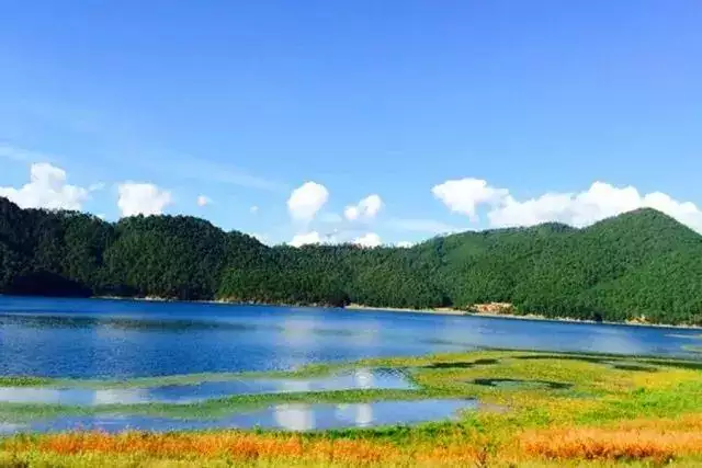 022年壬寅年大利八卦图，易经预测2022壬寅年"