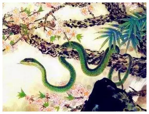 7、属蛇人财运:属蛇人偏财运