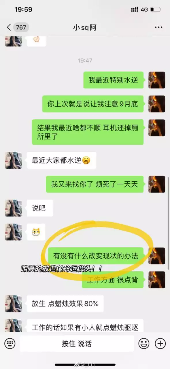 1、陶白白软件叫啥:陶白白什么梗？