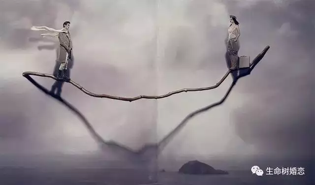 屬羊屬虎為什麼不和，屬羊屬虎合作
