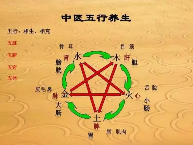 出生日期查五行