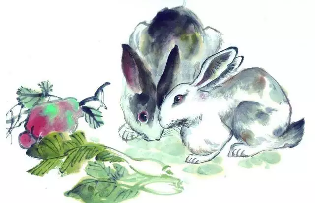 9年屬兔今年運勢,99年屬兔明年運勢"