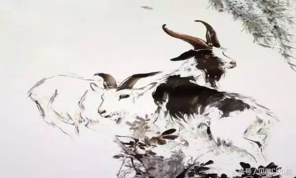 屬羊犯太歲年份，屬羊的在那一年犯太歲