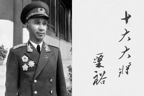 属虎的年龄分别是多少岁，属虎男和属猪女婚姻分数