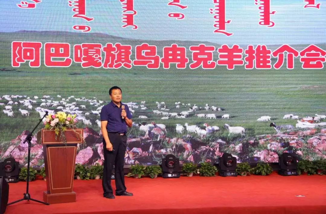 羊克牛還是牛克羊，羊初乳如何騙老人的
