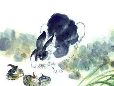 屬兔人和屬虎人合財嗎，三個屬牛的在一起做生意好嗎